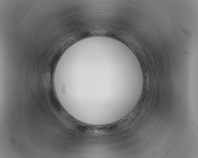 X0000114200498200910091051