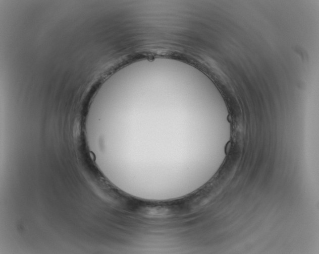 X0000114200500200910091051