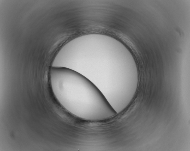 X0000114200501200910091051