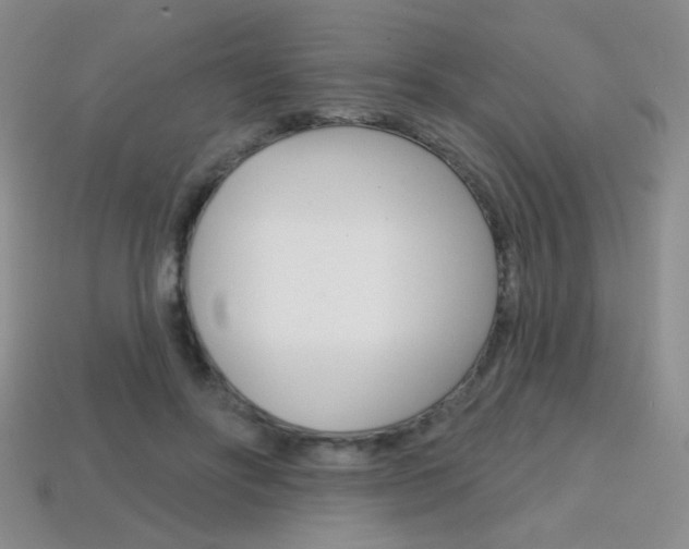 X0000114200502200910091051