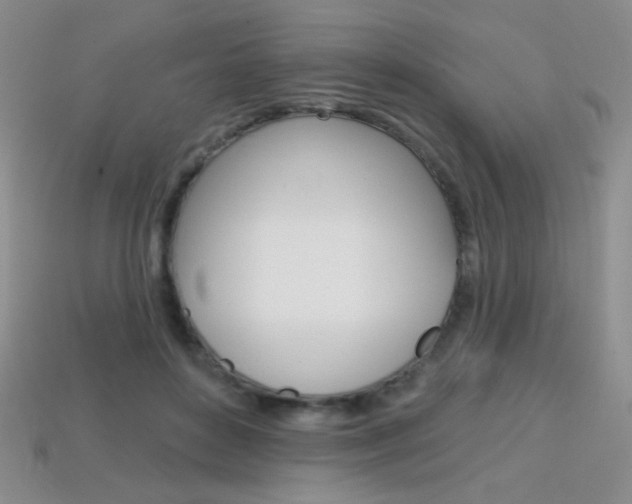 X0000114200504200910091051