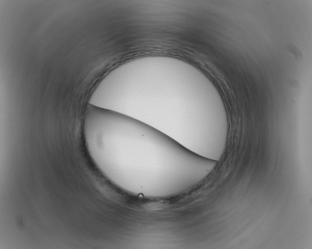 X0000114200505200910091051