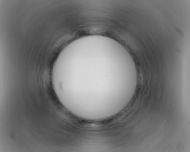 X0000114200506200910091051