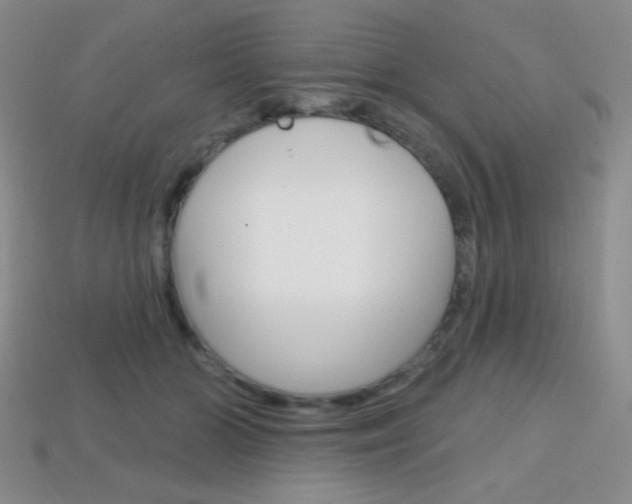 X0000114200510200910091051