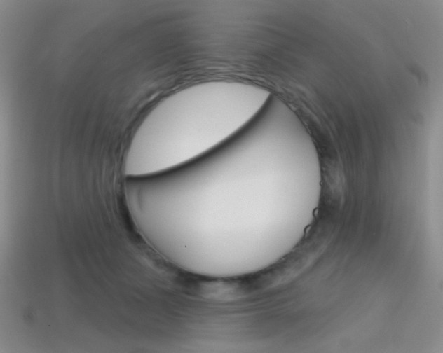 X0000114200511200910091051