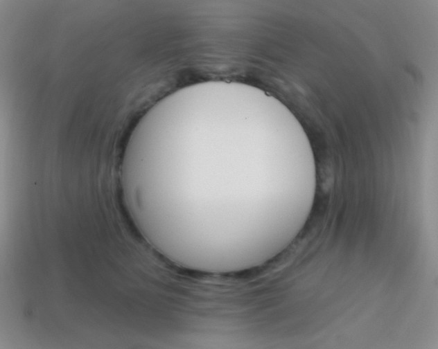 X0000114200515200910091051