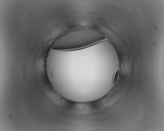 X0000114200520200910091051