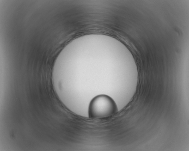 X0000114200521200910091051