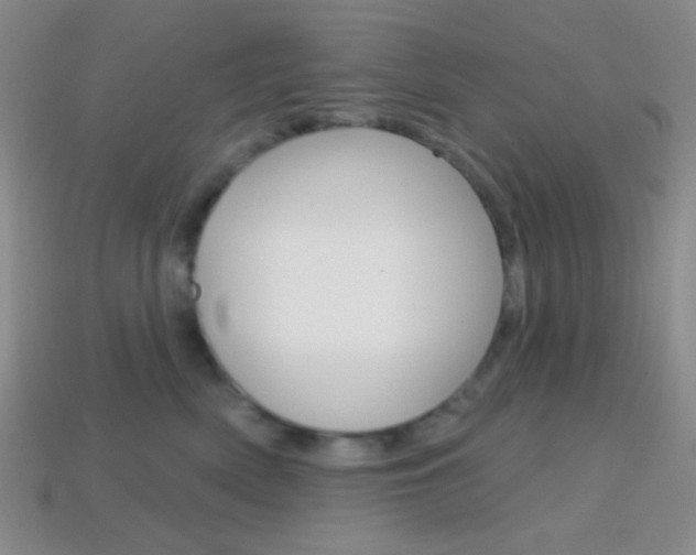 X0000114200522200910091051
