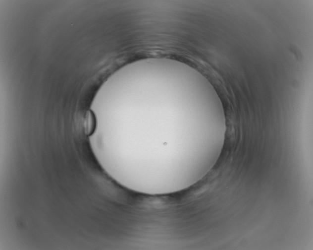 X0000114200523200910091051
