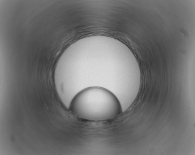 X0000114200524200910091051