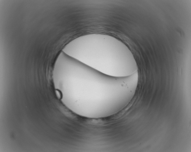 X0000114200525200910091051