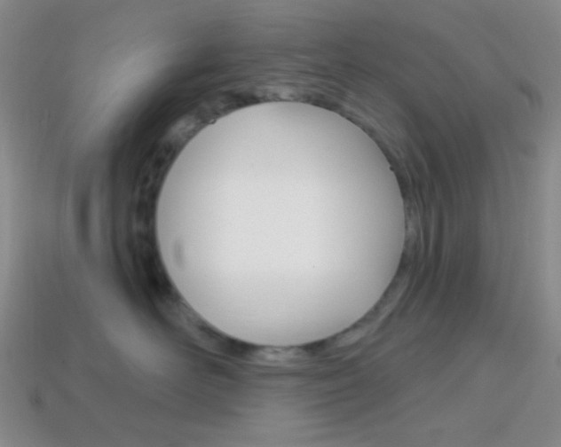 X0000114200526200910091051