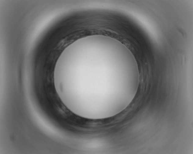 X0000114200527200910091051
