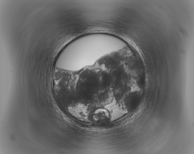 X0000114200529200910091050