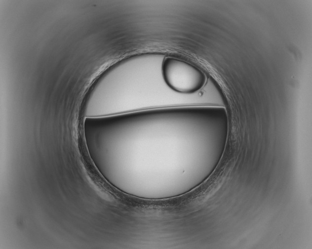 X0000114200530200910091050