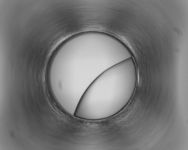 X0000114200531200910091050