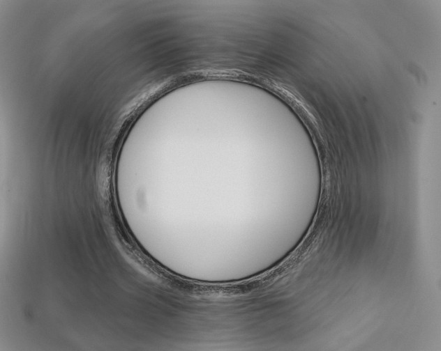 X0000114200533200910091050