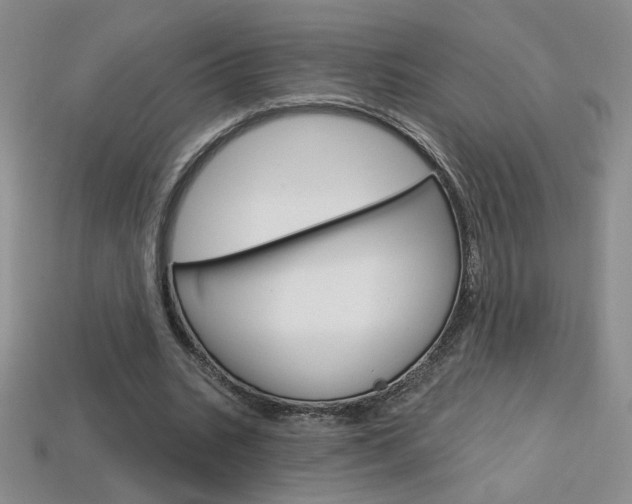 X0000114200535200910091050