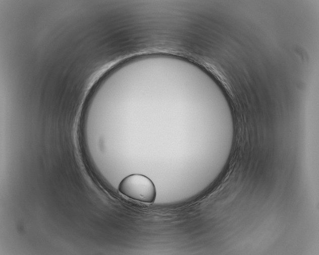 X0000114200536200910091050