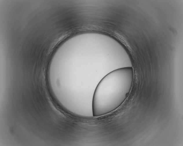 X0000114200538200910091050