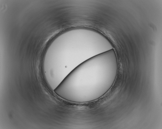 X0000114200539200910091050