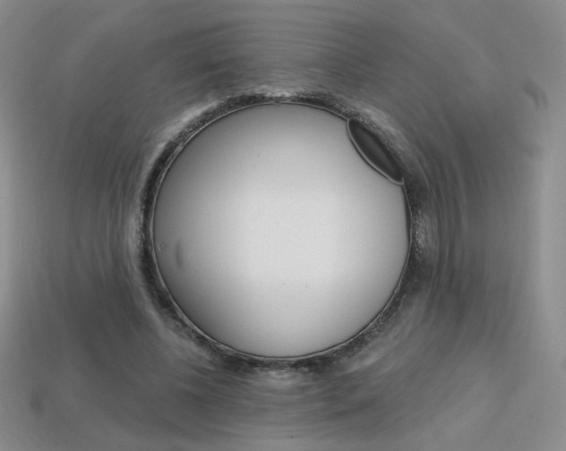 X0000114200540200910091050