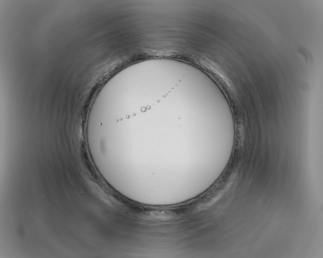 X0000114200541200910091050
