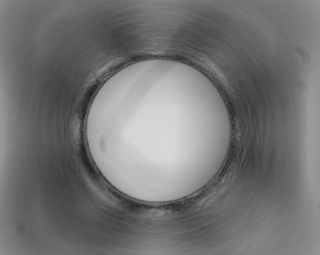 X0000114200542200910091050