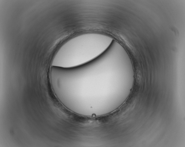 X0000114200543200910091050