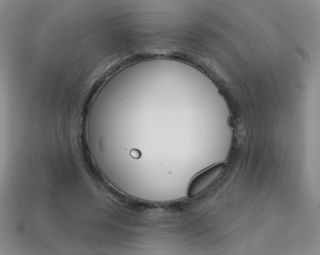 X0000114200544200910091050