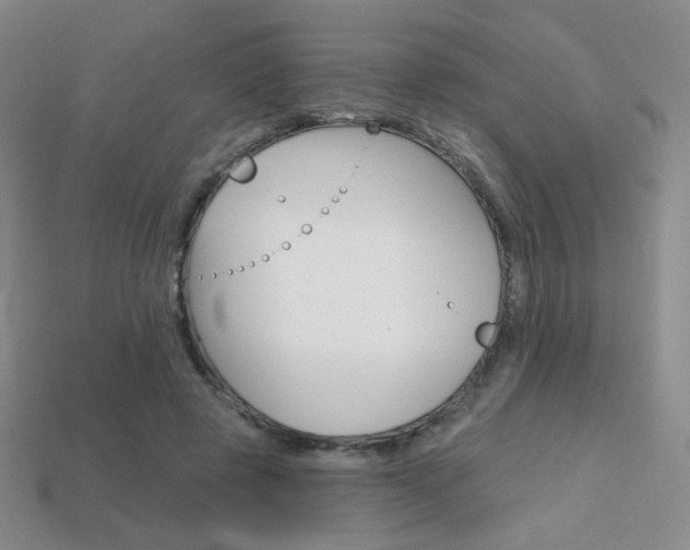 X0000114200545200910091050