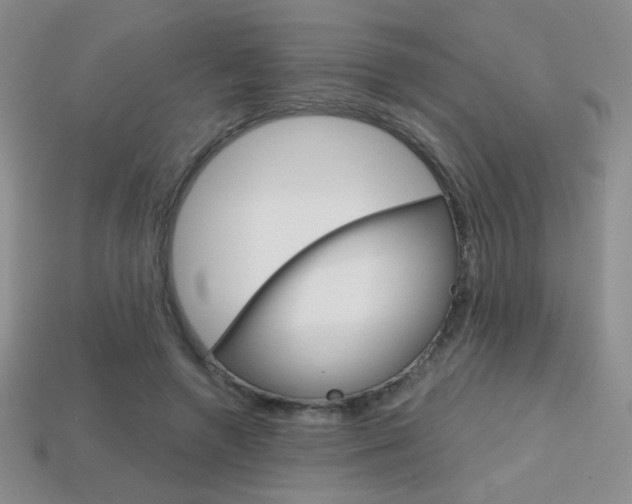 X0000114200546200910091050