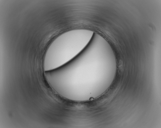 X0000114200547200910091050