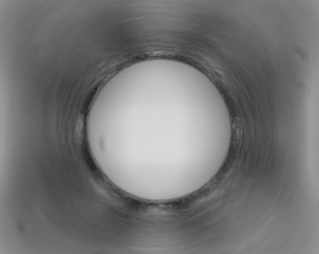 X0000114200550200910091050
