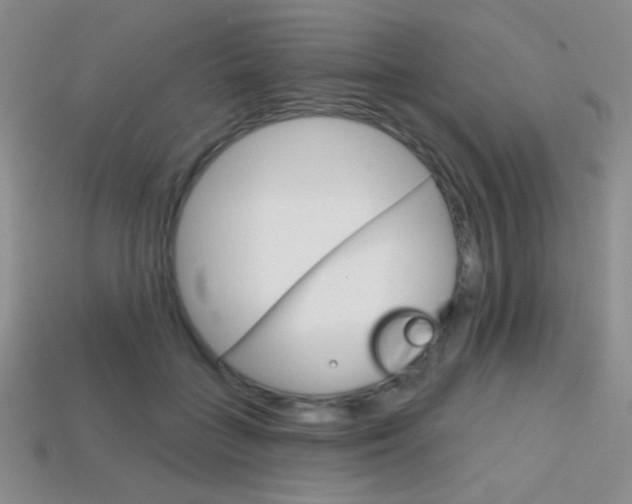X0000114200555200910091050