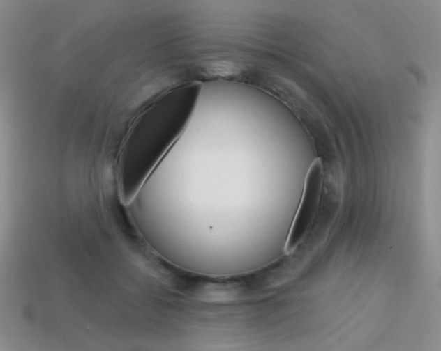 X0000114200556200910091050
