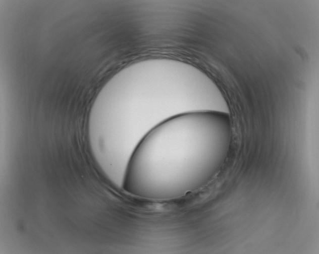X0000114200558200910091050
