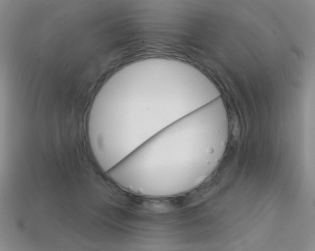 X0000114200559200910091050