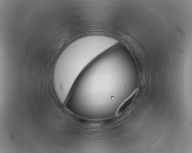 X0000114200560200910091050