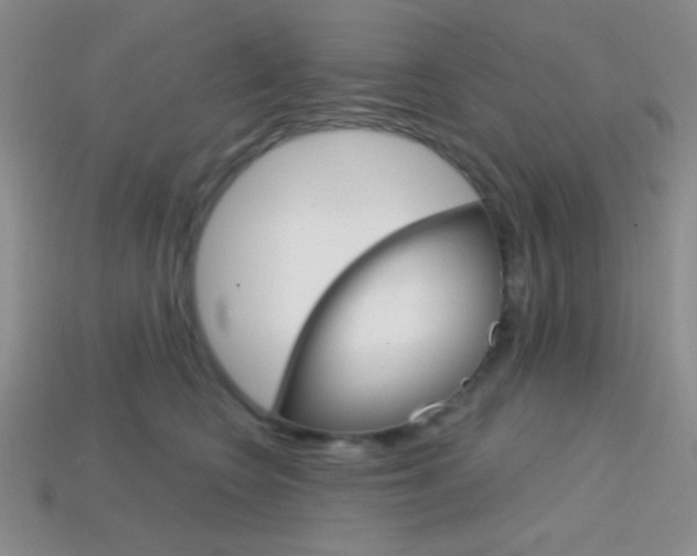 X0000114200566200910091051