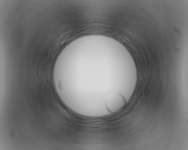 X0000114200568200910091051