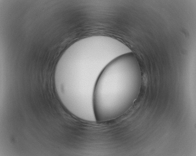 X0000114200570200910091051