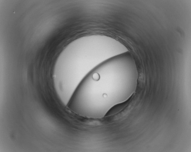 X0000114200572200910091051