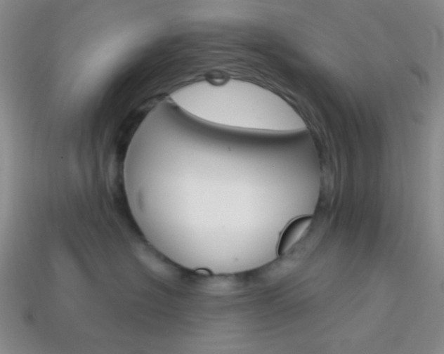X0000114200574200910091051