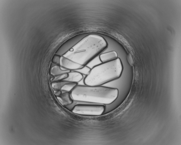 X0000114200577200910091050