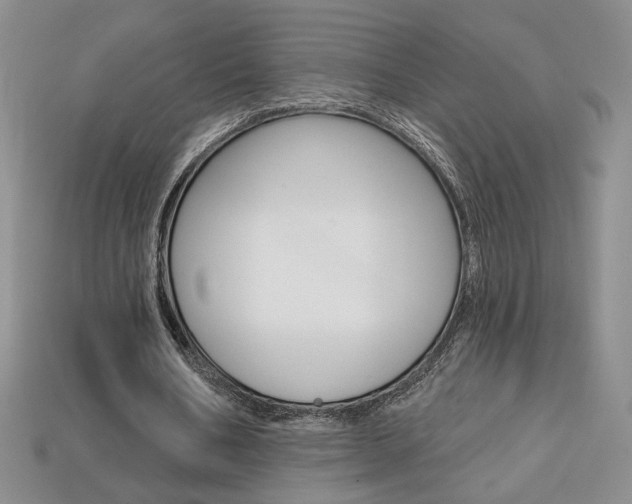 X0000114200578200910091050