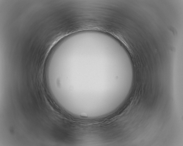 X0000114200579200910091050