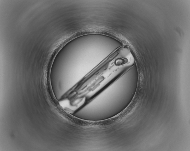 X0000114200581200910091050