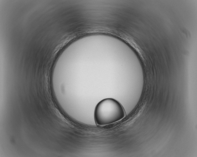 X0000114200585200910091050
